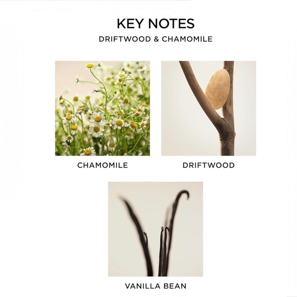 NEST Fragrances Wellness Driftwood & Chamomile 3 Wick 21.1oz Candle - Picture 4 of 9